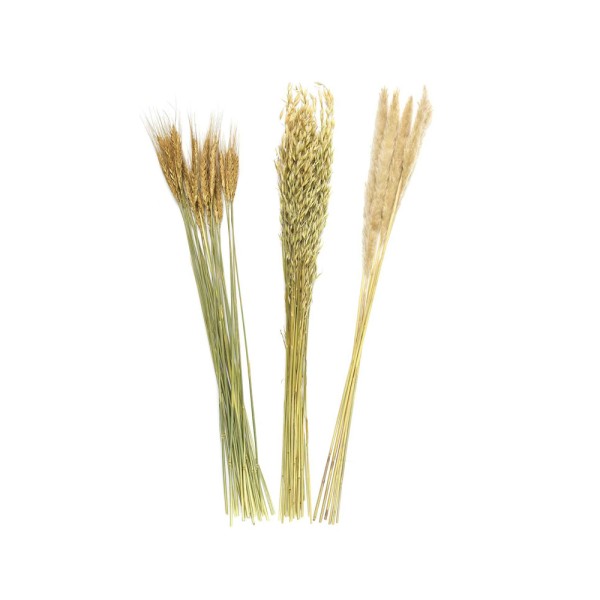 HD FACTORY BOUQUET OF DRIED FLOWERS 