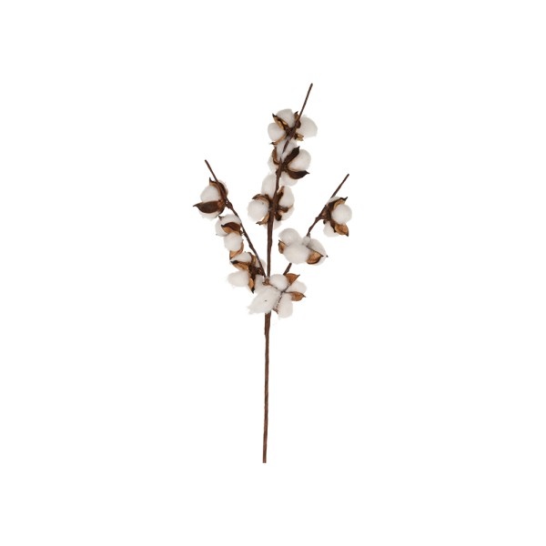 KOOPMAN DRIED BRANCHE COTTON PICK 9 HEADS 54CM