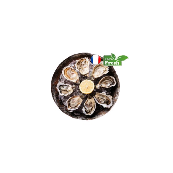 FISH OYSTER GILLARDEAU N2