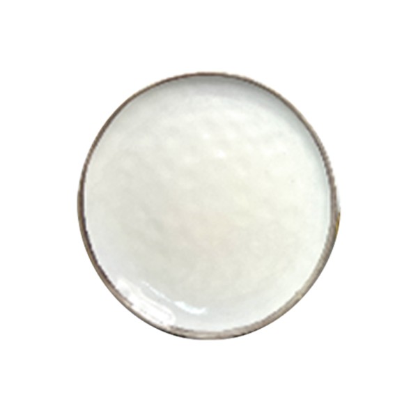 HARD GOODS STONEWARE DINNER PLATE  WHITE WITH RIM