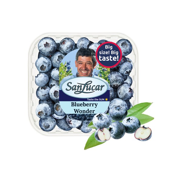 SANLUCAR BLUEBERRY IMP