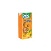 Orange Juice 547771-V001 by Papa's