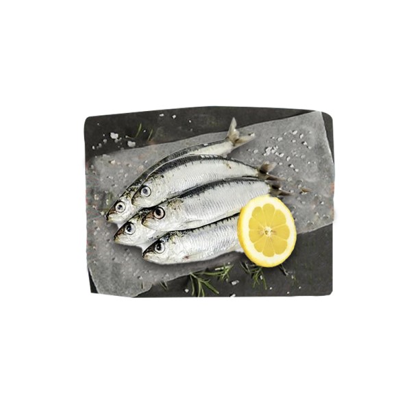 SARDINE BIZRI 120136-V001 by Spinneys Fresh Fish Market