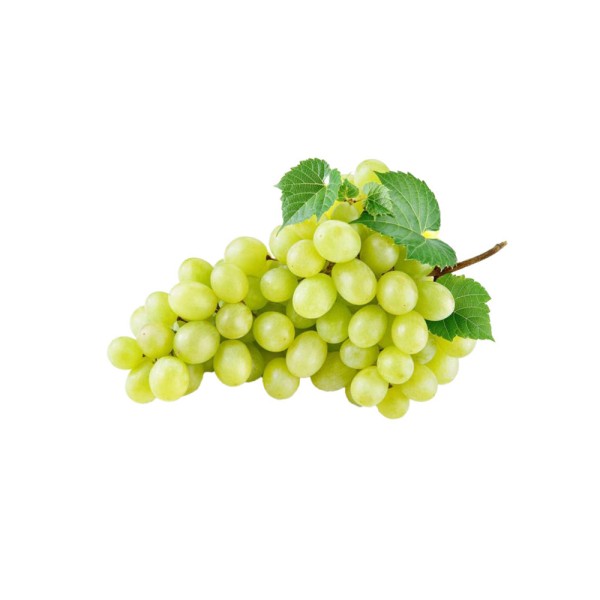 GRAPES THOMPSON IMP