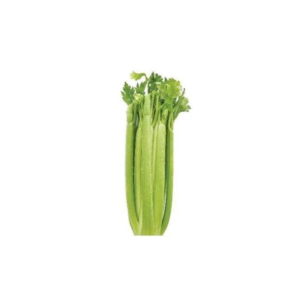 CELERY SLEEVES