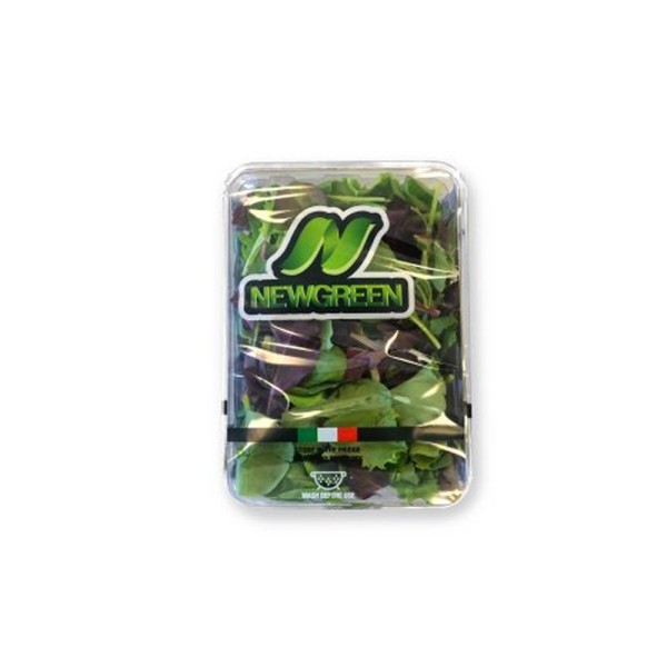 SALAD BABY LEAVES MESCLUN MIX