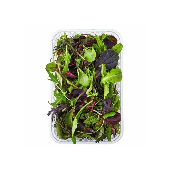 SALAD BABY LEAVES MESCLUN MIX