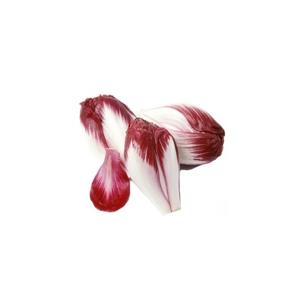 CHICORY RED LOOSE