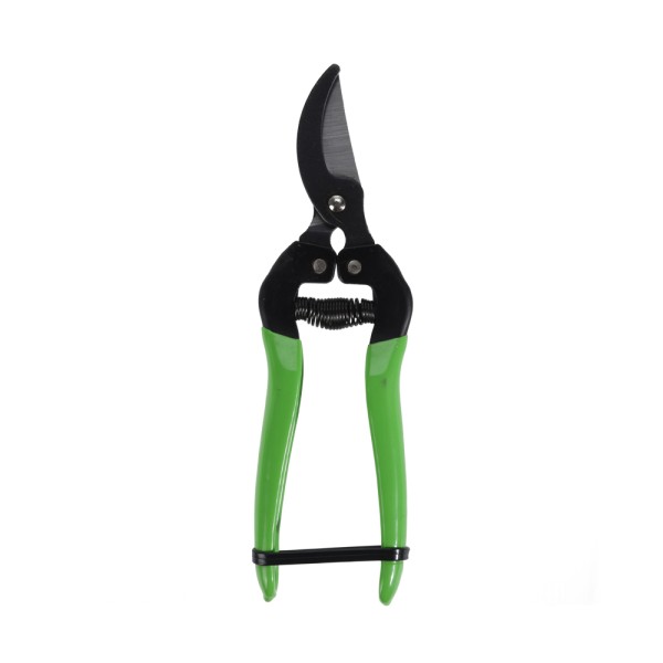 Gardn Shears Green 2Ass Design 495181-V001 by Home Collection