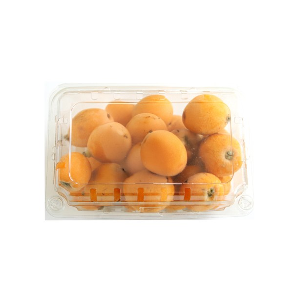 PRODUCE LOQUAT BOX
