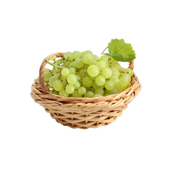 GRAPE REGINA SEEDLESS