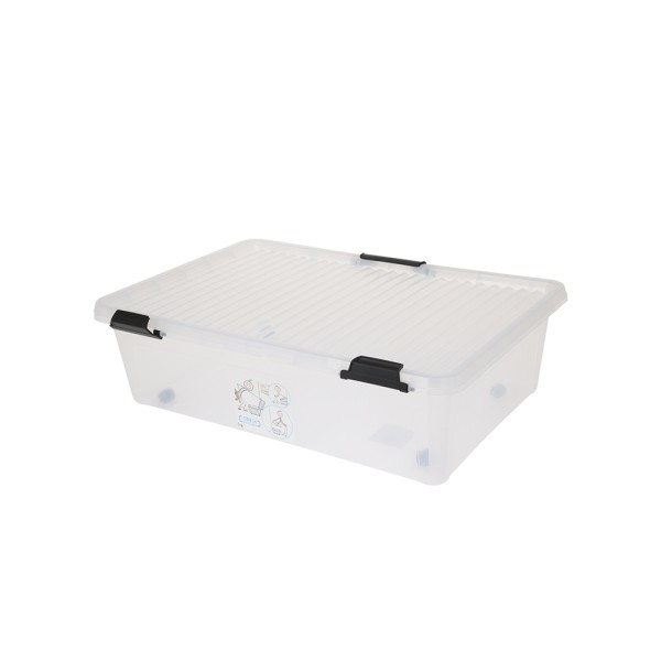 KOOPMAN MULTIPLE BOX TRANSPARENT