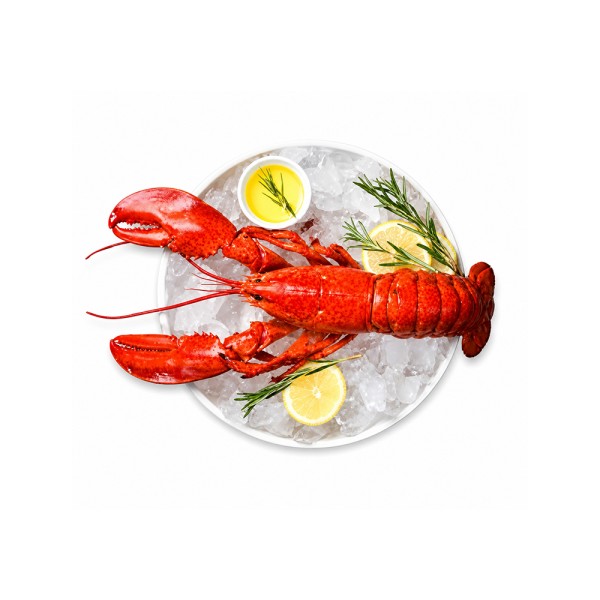 FISH FROZEN LOBSTER