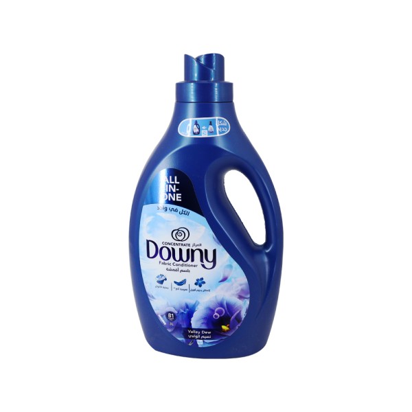 DOWNY FABRIC CONDITIONER CONCENTRATE VALLEY DEW