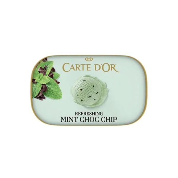 CARTE D'OR BAC MINT CHOCOLATE CHIP ICE CREAM