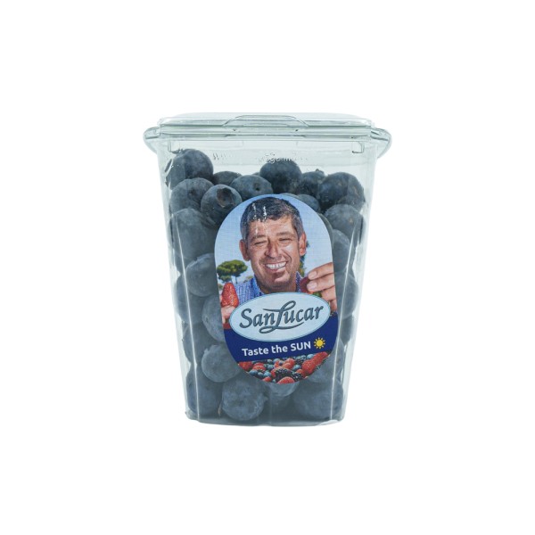 SANLUCAR BLUEBERRY  SHAKER