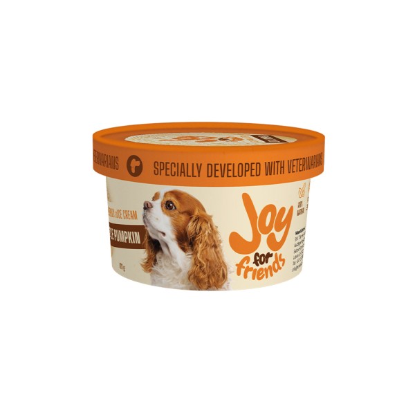 JOY FOR FRIENDS DOG FRIENDLY LITTLE PUMPKIN ICE CREAM
