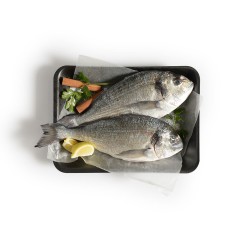 FISH SEABREAM AJAJ 