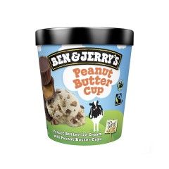 BEN+JERRY'S PEANUT BUTTER CUP ICE CREAM